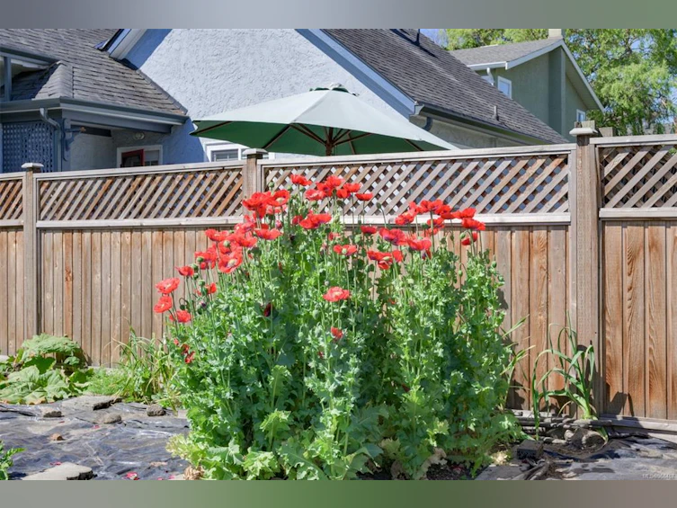 520 Craigflower Road, Victoria, BC, V9A 2V9 - 52