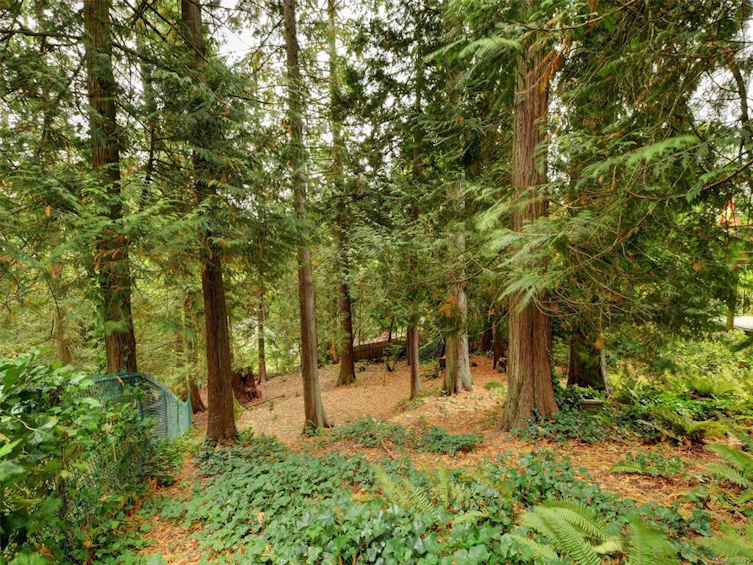 8849 Carmanah Terrace, North Saanich, BC, V8L 5E9 - 20