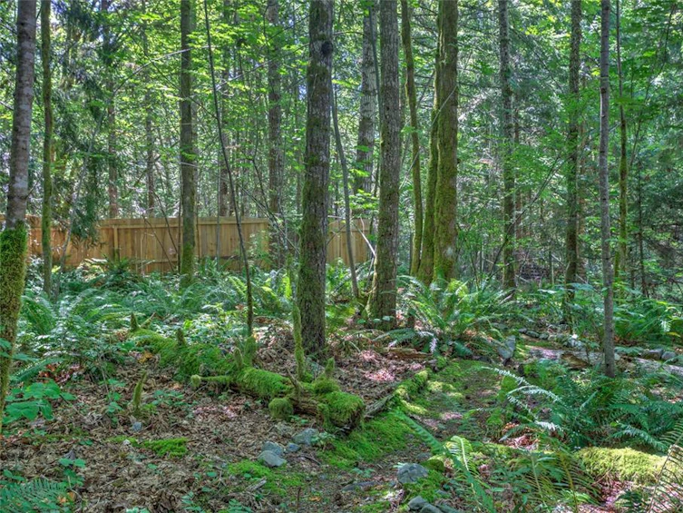 8235 Price Road, Youbou, BC, V0R 3E1 - 66