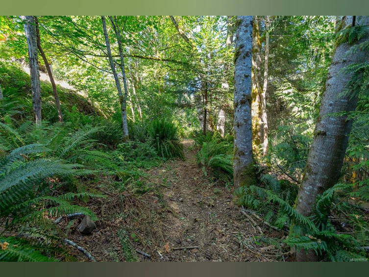 3013 Manzer Road, Sooke, BC, V9Z 0C9 - 49