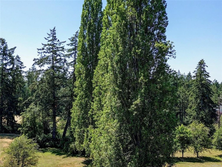 4886 West Saanich Road, Saanich, BC, V8Z 3H7 - 42