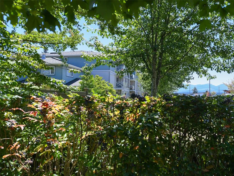 303-1683 Balmoral Avenue, Comox, BC, V9M 2M9 - 30