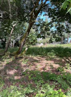 Lot 25 Whalebone Road