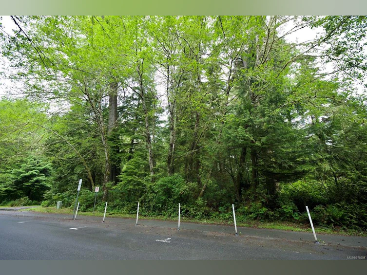1193 Lynn Road, Tofino, BC, V0R 2Z0 - 4