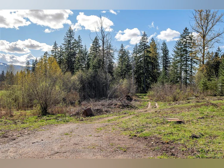 7997 N Island Highway, Black Creek, BC, V9J 1G9 - 53