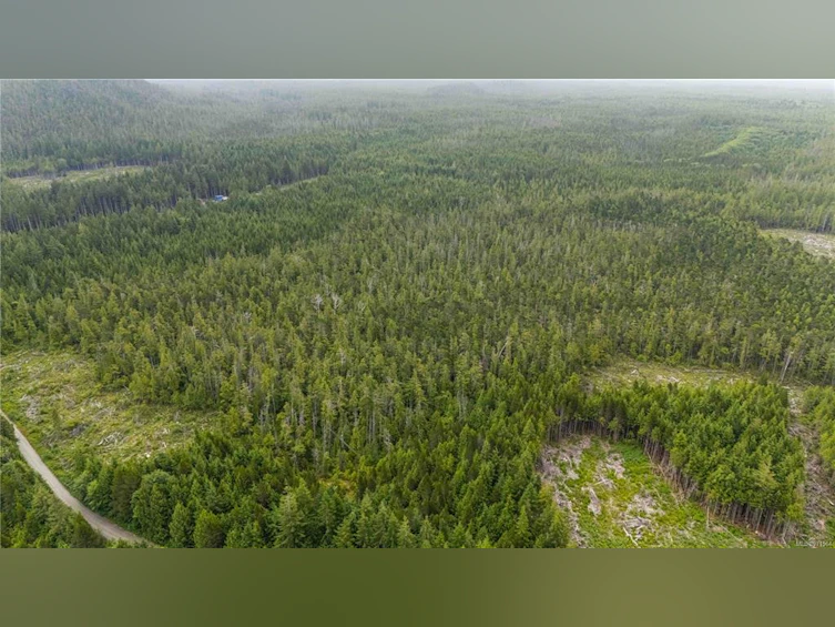 DL 1390 Alaska Pine (Off) Rd, Ucluelet, BC, V0R 3A0 - 3