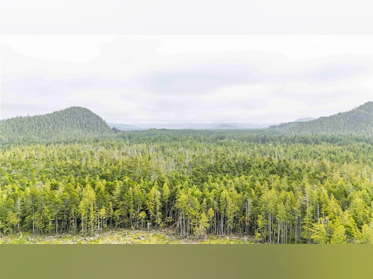 DL 1390 Alaska Pine (Off) Rd, Ucluelet, BC, V0R 3A0 - 4