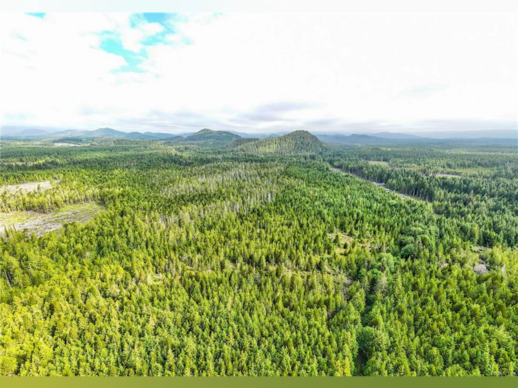 DL 1390 Alaska Pine (Off) Rd, Ucluelet, BC, V0R 3A0 - 8