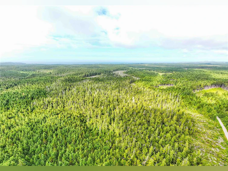 DL 1390 Alaska Pine (Off) Rd, Ucluelet, BC, V0R 3A0 - 9