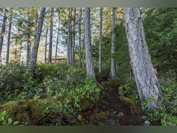 651 Gorge Harbour, Cortes Island, BC, V0P 1Z0 - 38