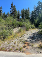 443 Donner Drive