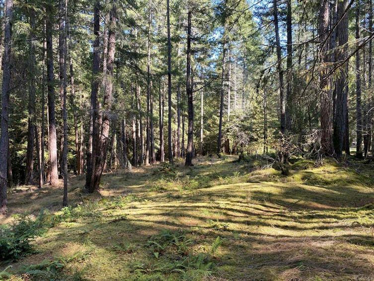Lt 4 Sitka Grove, Gabriola Island, BC, V0R 1X1 - 10