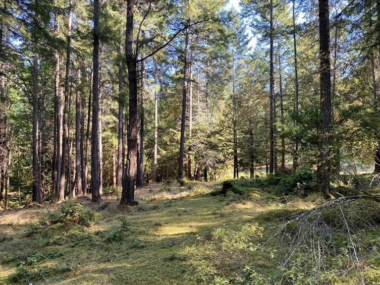 Lt 4 Sitka Grove, Gabriola Island, BC, V0R 1X1 - 11