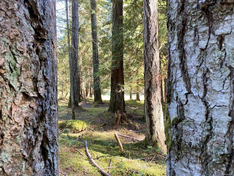 Lt 4 Sitka Grove, Gabriola Island, BC, V0R 1X1 - 12