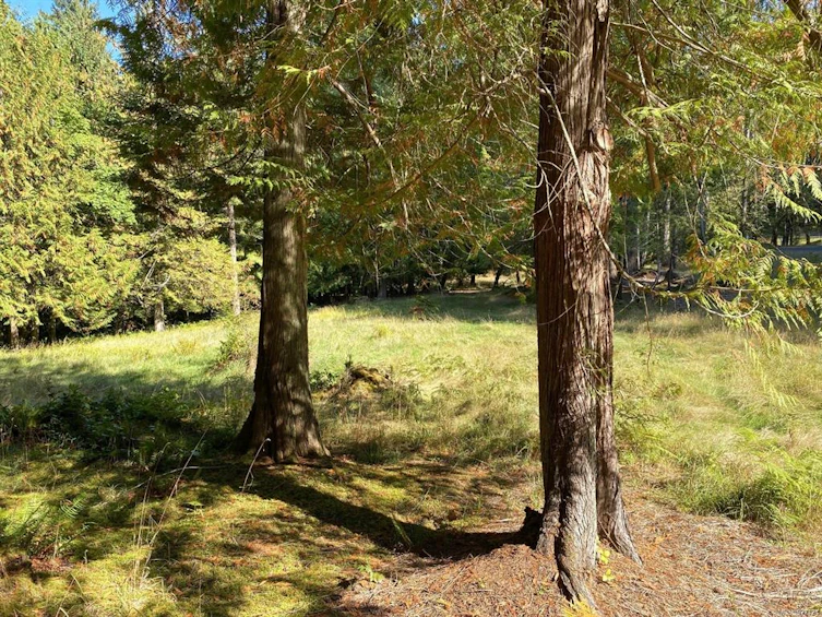 Lt 4 Sitka Grove, Gabriola Island, BC, V0R 1X1 - 16
