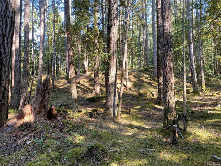 Lt 4 Sitka Grove, Gabriola Island, BC, V0R 1X1 - 19