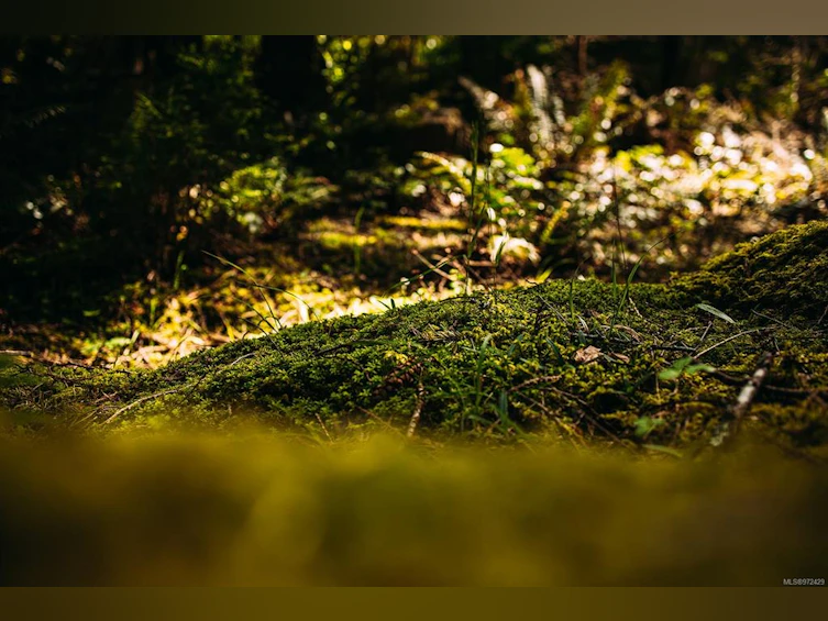 Lt 14 Sitka Grove, Gabriola Island, BC, V0R 1X1 - 5