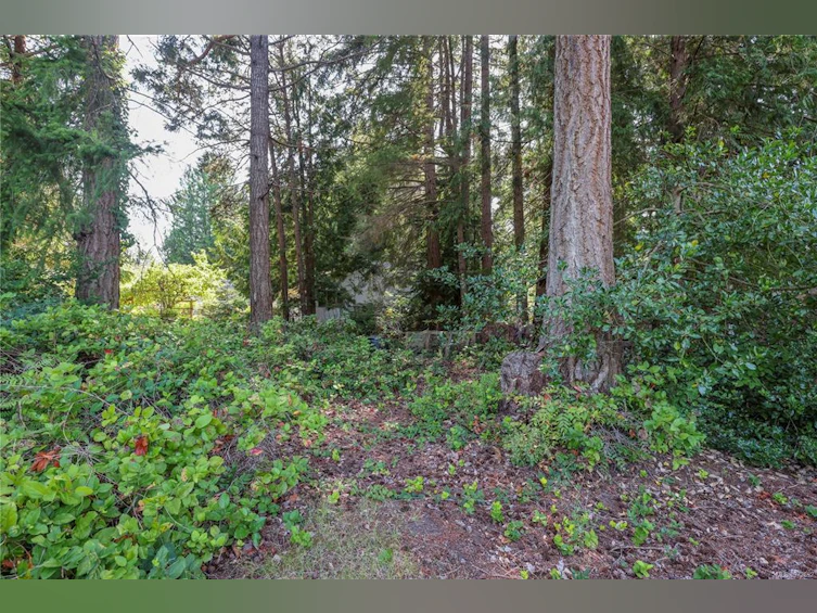 248 Hoylake E Road, Qualicum Beach, BC, V9K 1L5 - 16
