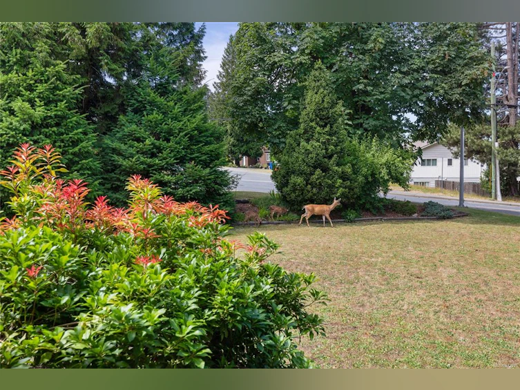 250 Westwood Road, Nanaimo, BC, V9R 6S3 - 47