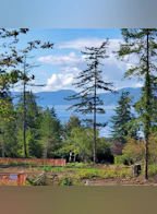 Lot 2 Derrick Road