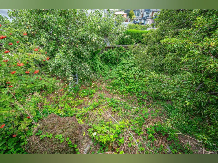 934 Ellery Street, Esquimalt, BC, V9A 4S1 - 35