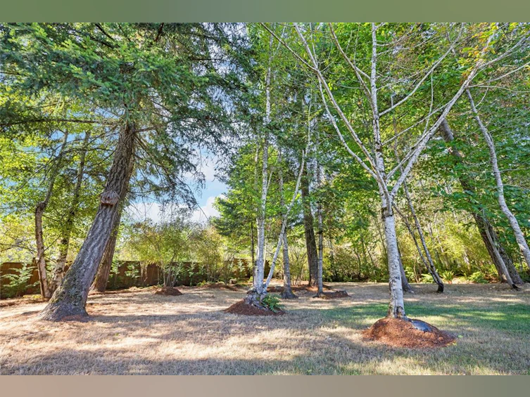 620 Elk Trail, Errington, BC, V9P 2B1 - 45