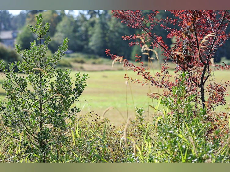 Lot C Highmoor Road, Port Alberni, BC, V9Y 8P9 - 4