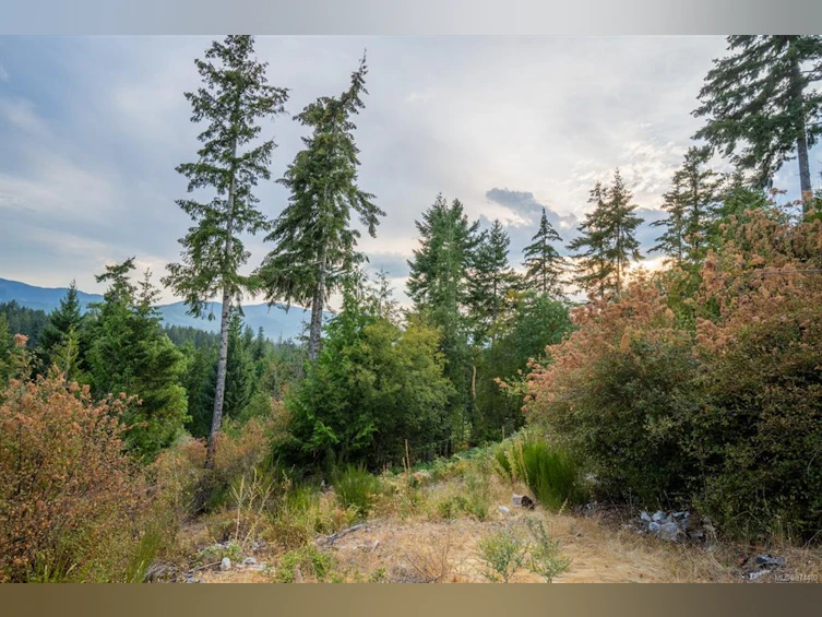 Lot 13 Teal Court, Lake Cowichan, BC, V0R 2G0 - 14