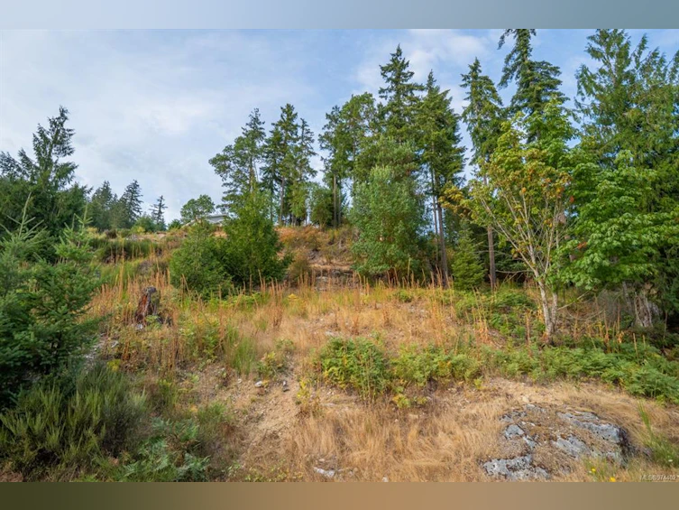 Lot 13 Teal Court, Lake Cowichan, BC, V0R 2G0 - 16
