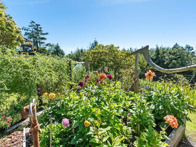 1158 Rupert Road, Ucluelet, BC, V0R 3A0 - 25
