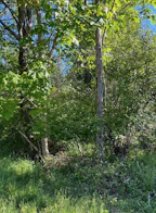 Lot 14 Bates Road