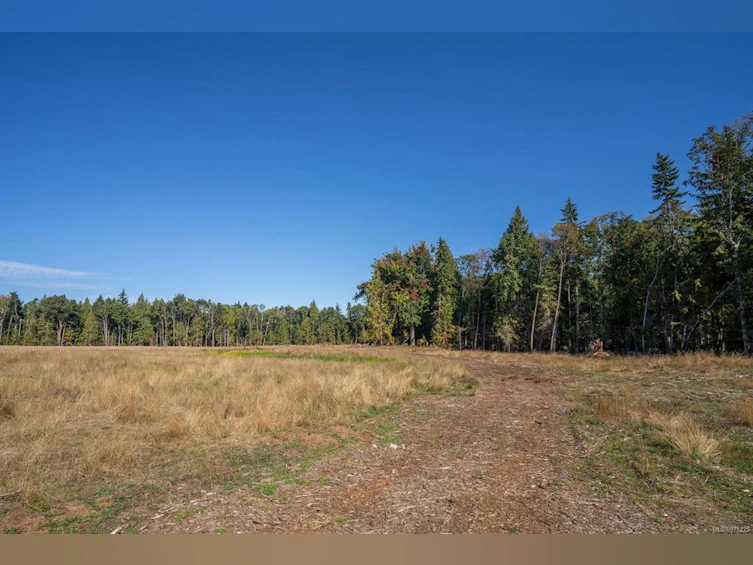 1195 Lee Road, French Creek, BC, V9P 2L2 - 85