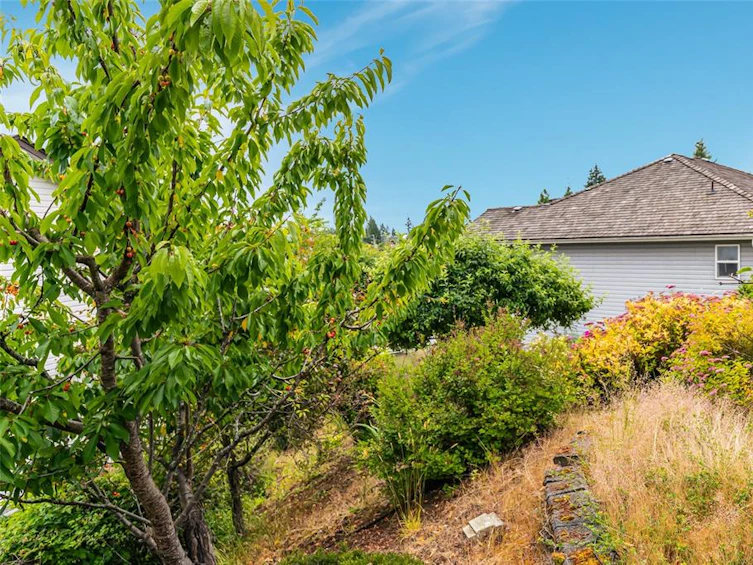 840 Sivers Place, Ladysmith, BC, V9G 1N4 - 49