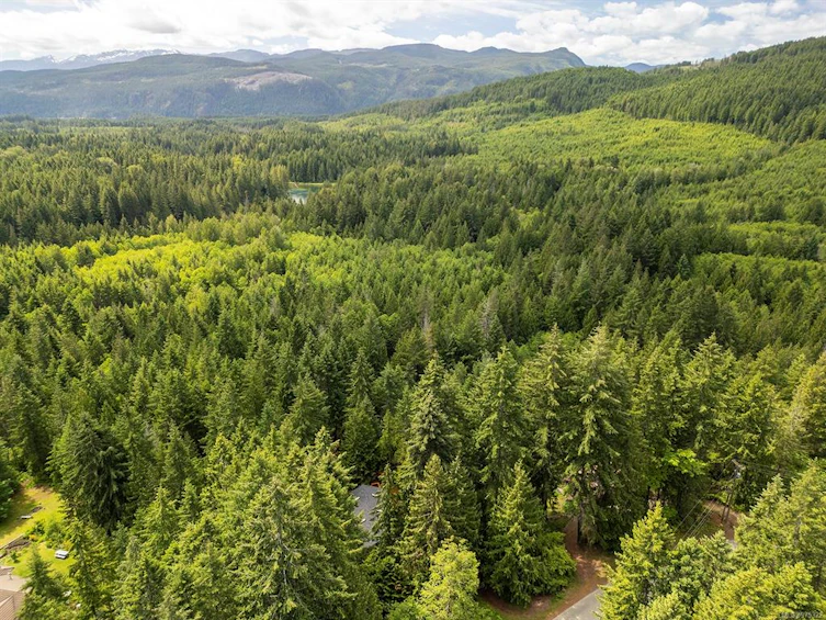 4777 Forbidden Plateau Road, Courtenay, BC, V9J 1R3 - 85