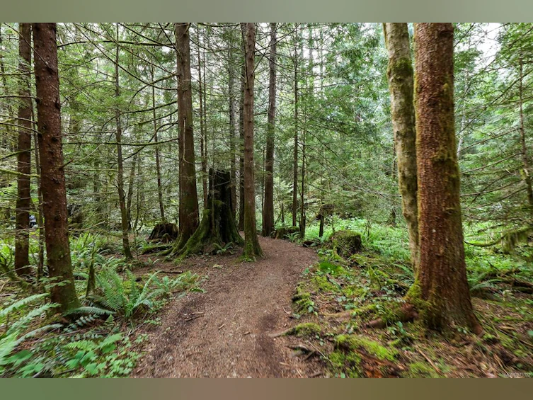 4777 Forbidden Plateau Road, Courtenay, BC, V9J 1R3 - 94