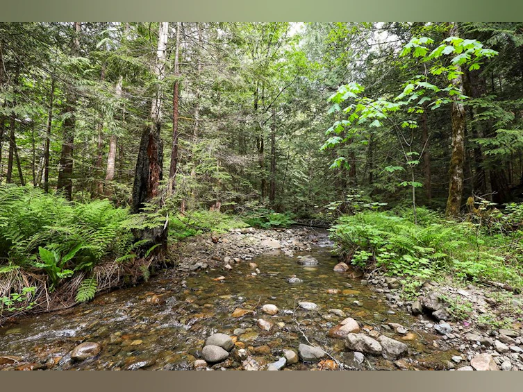 4777 Forbidden Plateau Road, Courtenay, BC, V9J 1R3 - 97