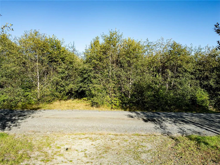 1142 Fifth Avenue, Port Alberni, BC, V0R 3A0 - 2