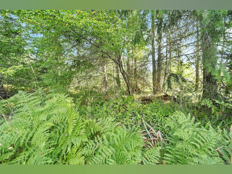 6235 Karen Place, Port Alberni, BC, V9Y 8K9 - 59
