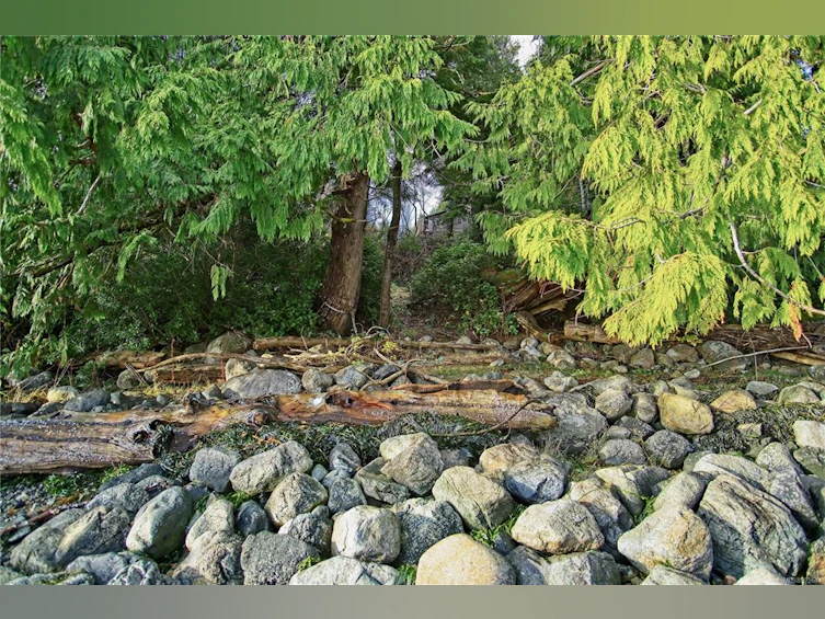 780 Campbell Street, Tofino, BC, V0R 2Z0 - 22