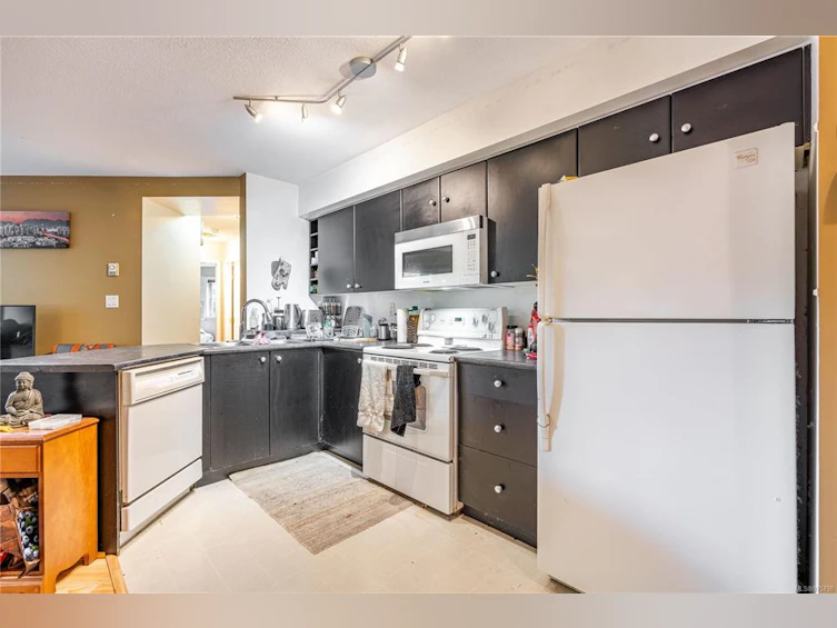 103-2560 Wark Street, Victoria, BC, V8T 4G8 - 9