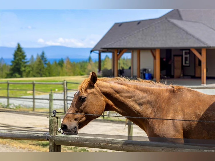 416 Grovehill Road, Qualicum Beach, BC, V9K 2A3 - 12