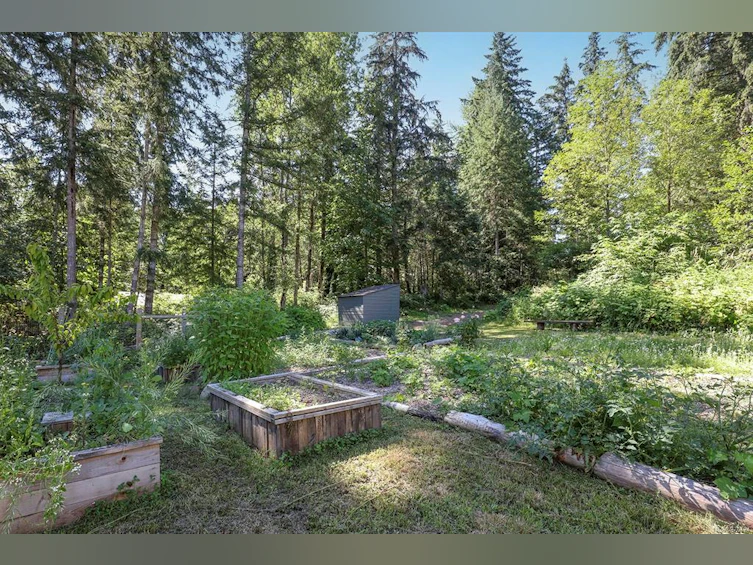 4345 Macaulay Road, Black Creek, BC, V9J 1E2 - 65