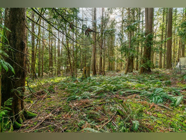 LT29 Prospect Drive, Ladysmith, BC, V0R 2E0 - 2