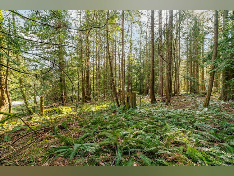 LT29 Prospect Drive, Ladysmith, BC, V0R 2E0 - 3