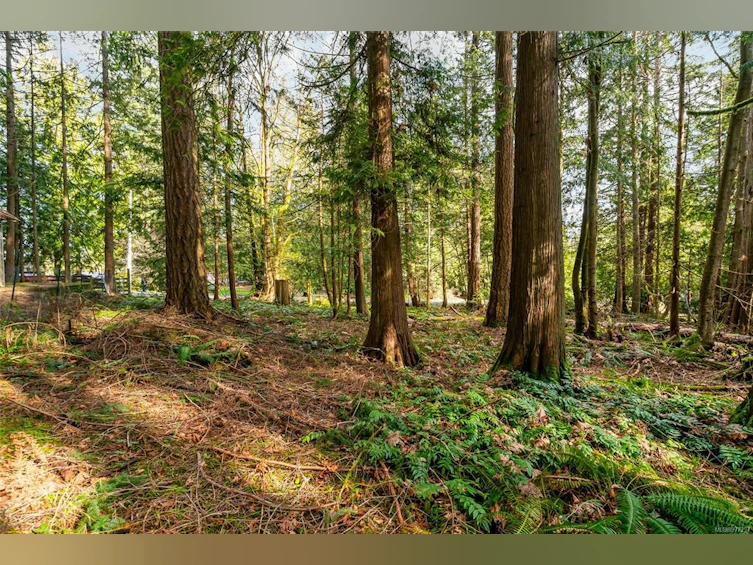 LT29 Prospect Drive, Ladysmith, BC, V0R 2E0 - 4