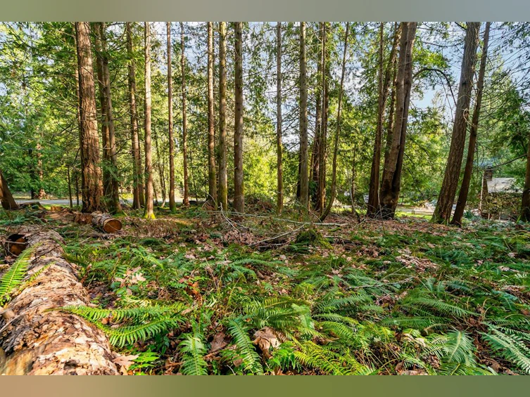 LT29 Prospect Drive, Ladysmith, BC, V0R 2E0 - 7