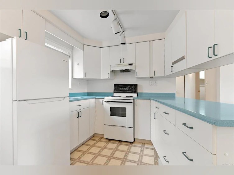 1108 Nicholson Street, Saanich, BC, V8X 3L6 - 26