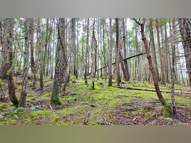 Lt 15 Coats Drive, Gabriola Island, BC, V0R 1X4 - 6