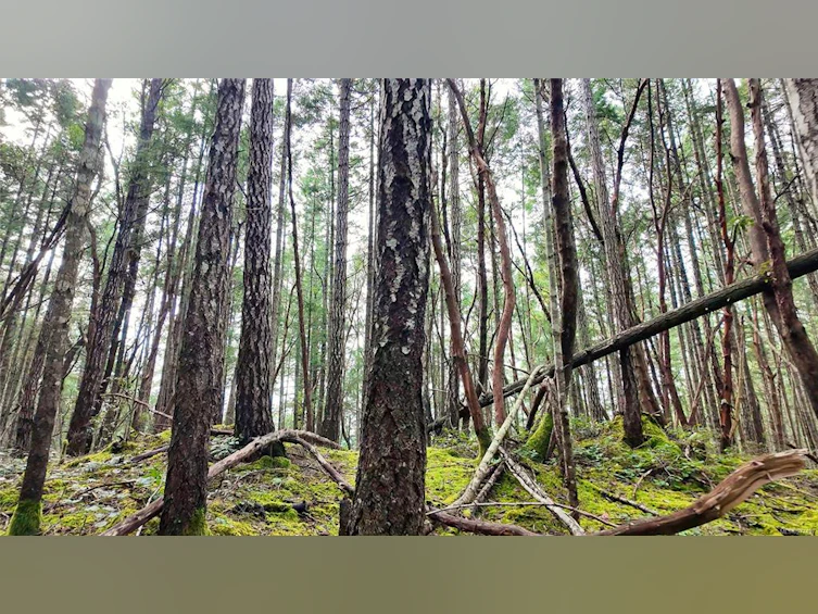 Lt 15 Coats Drive, Gabriola Island, BC, V0R 1X4 - 8