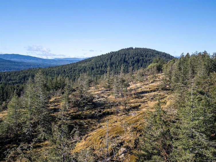 2251 Bonnington Drive, Fairwinds, BC, V9P 9L9 - 53